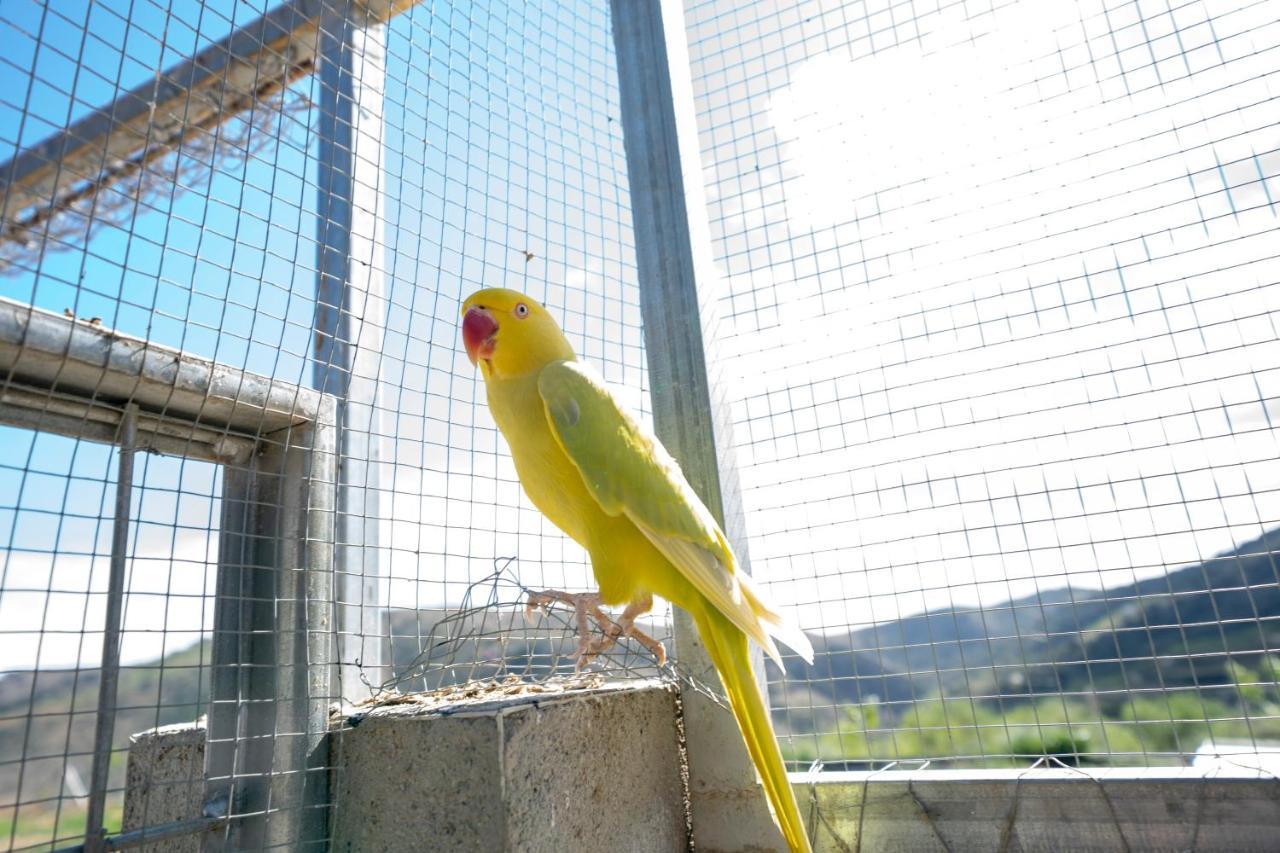 Reul Alto Cortijos Rurales Pensionat Laroya Exteriör bild